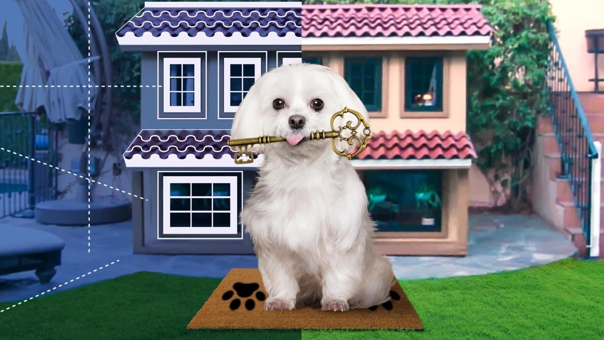 Barkitecture background