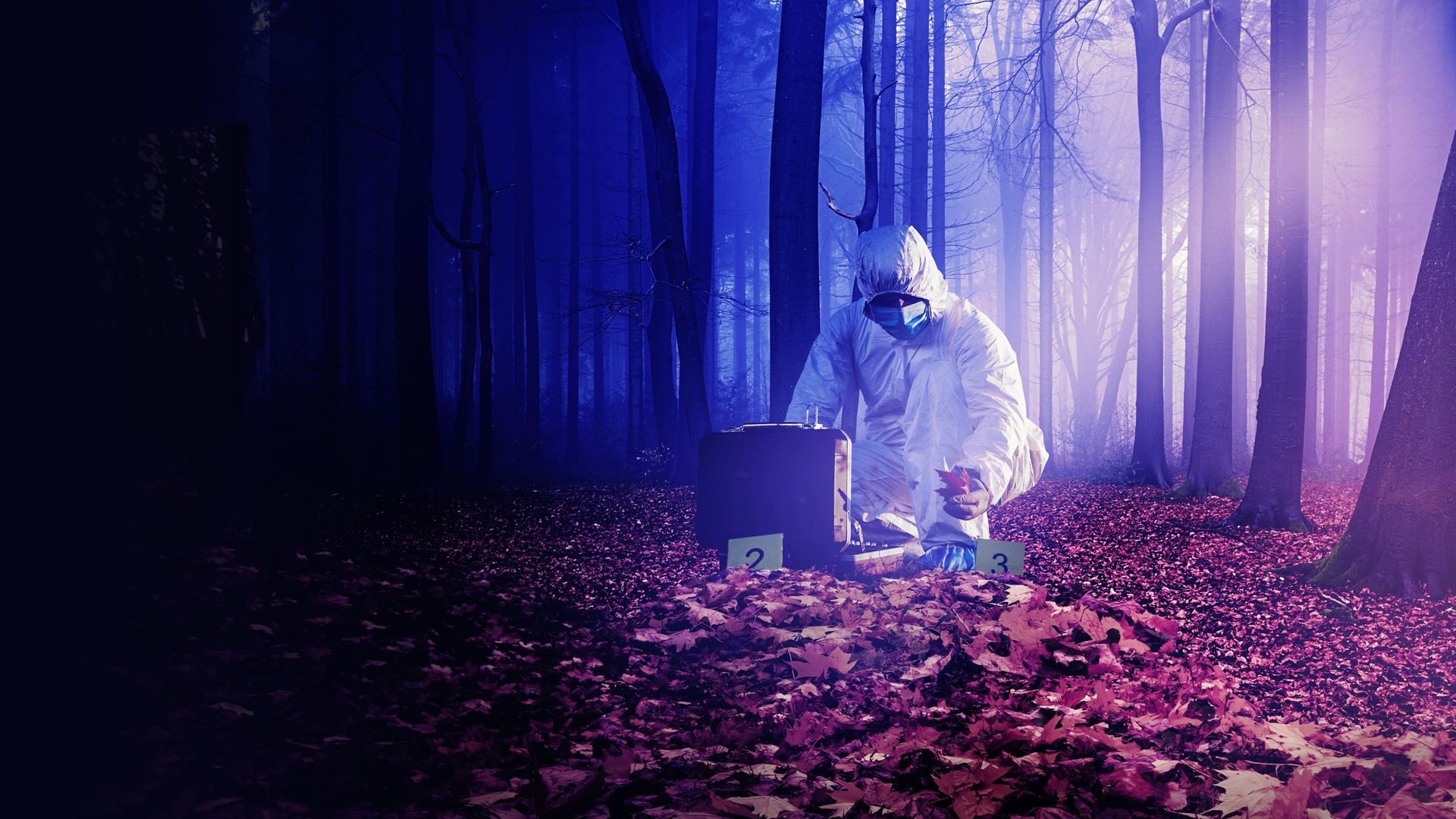 Forensic Files II background