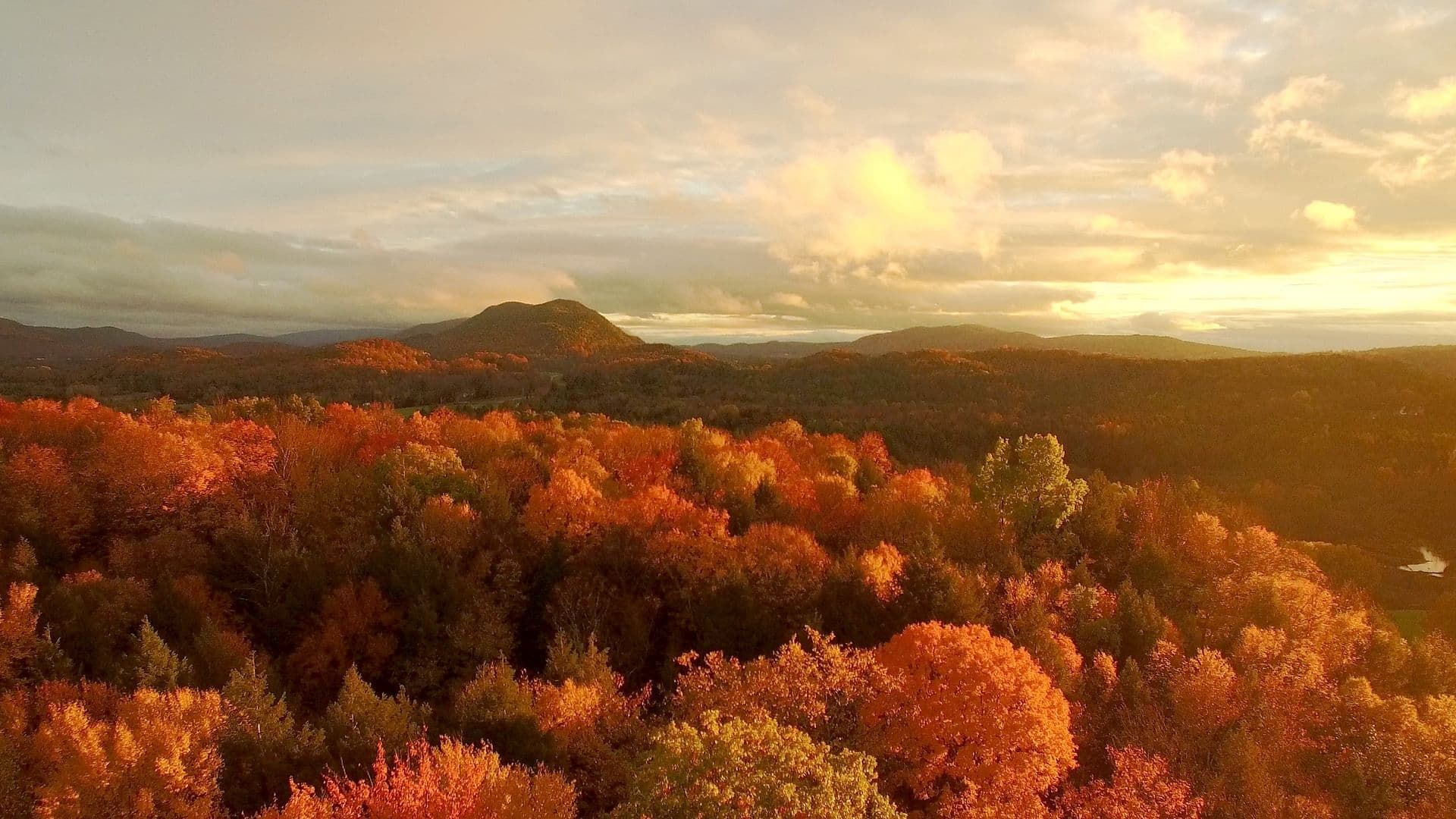 America's Wild Seasons background