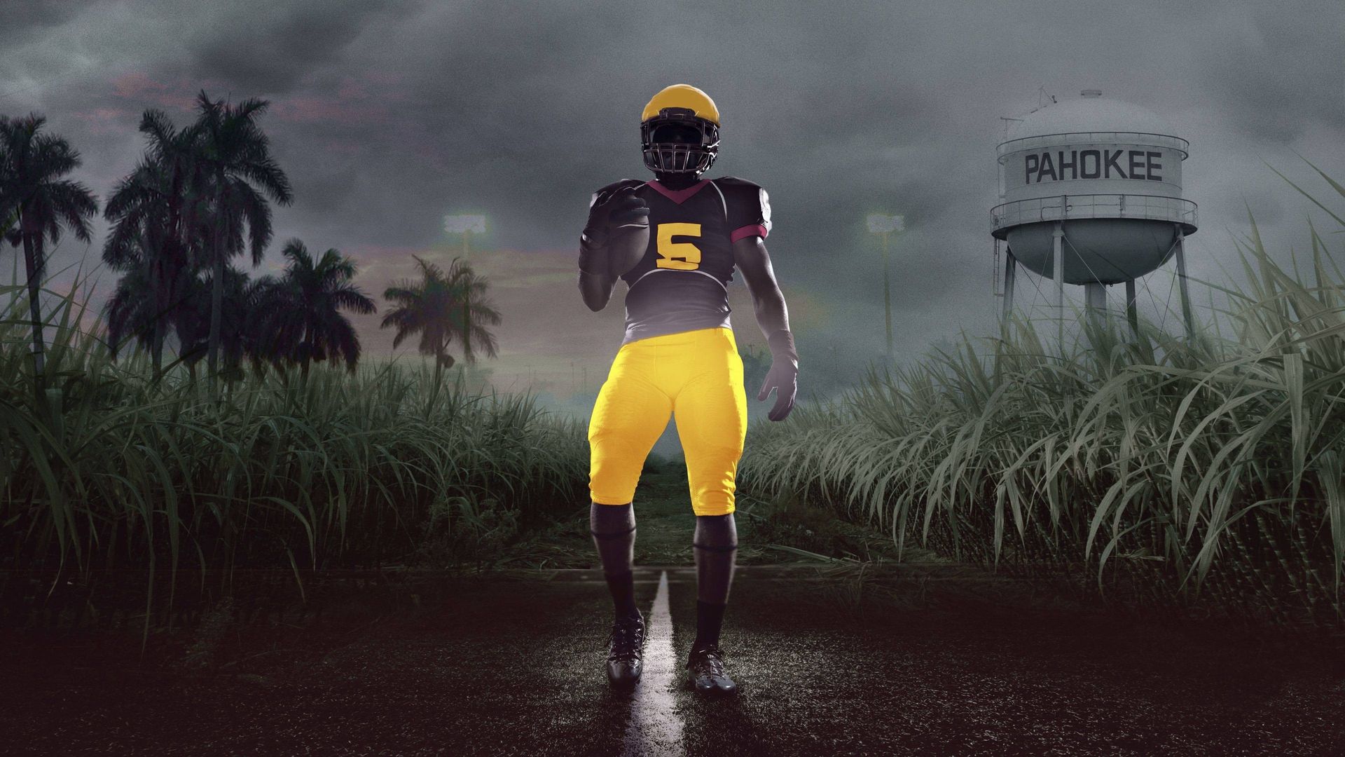 4th and Forever: Muck City background