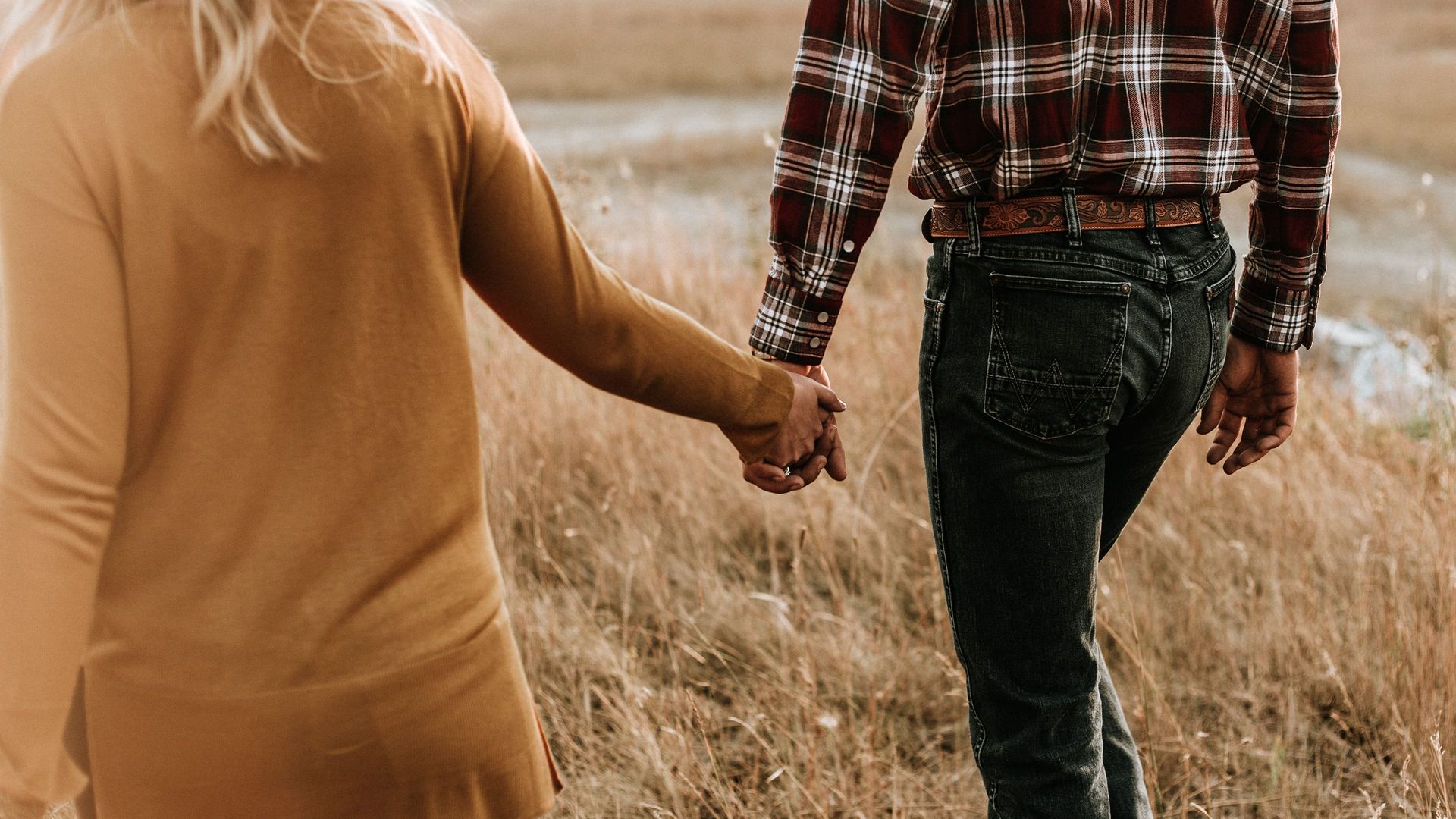 The Farmer Wants a Wife background