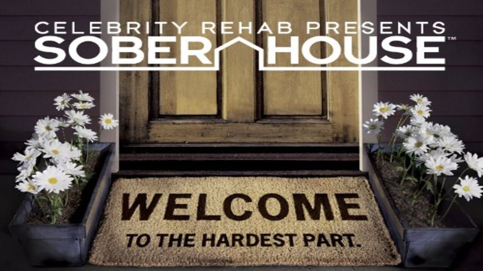 Sober House background