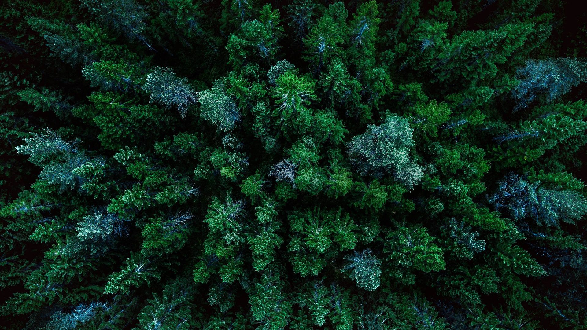 A World of Calm background