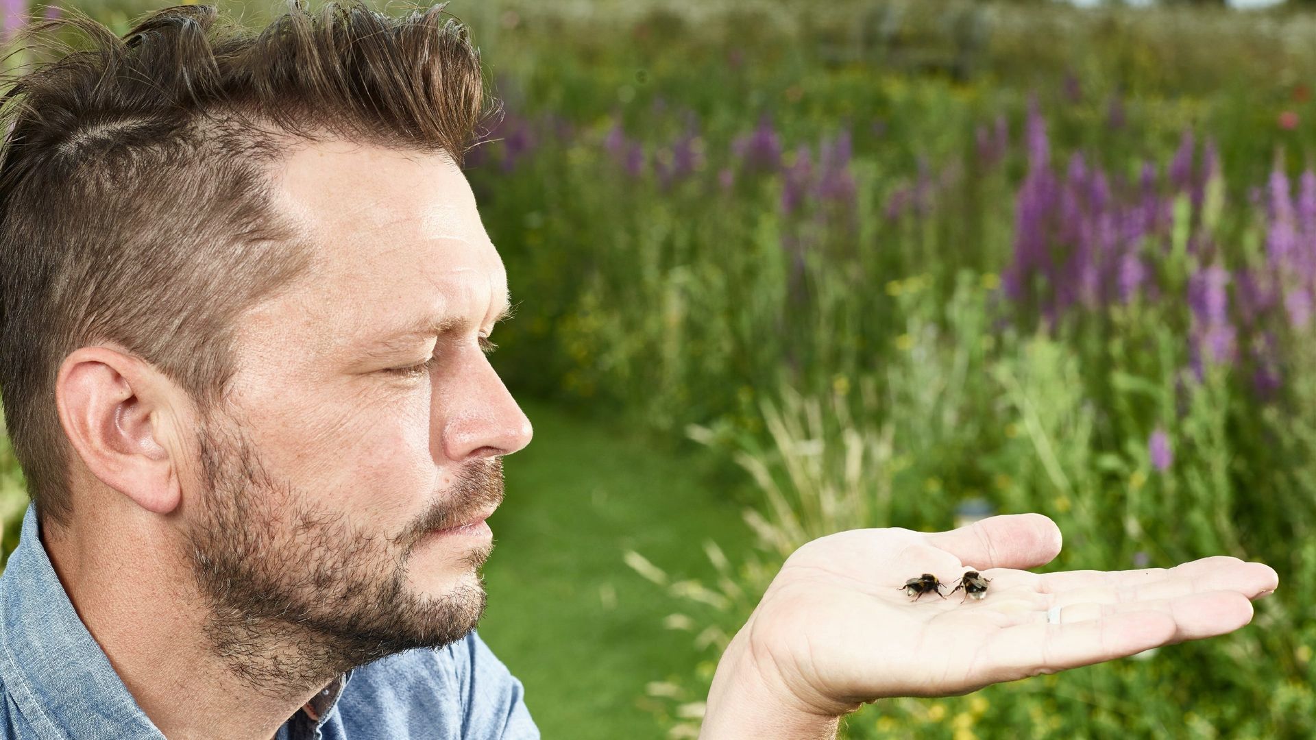 Jimmy's Big Bee Rescue background