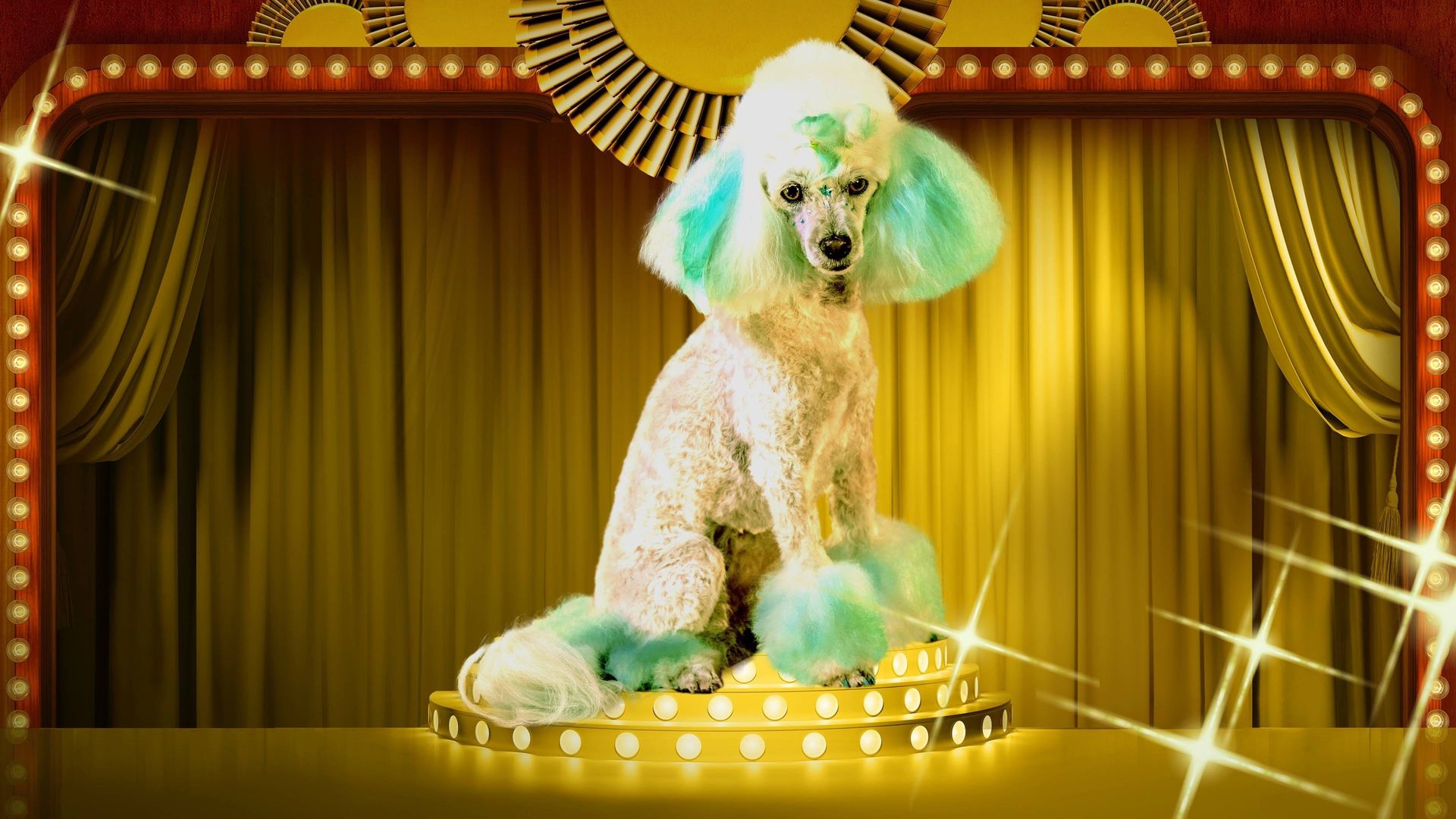 Haute Dog background