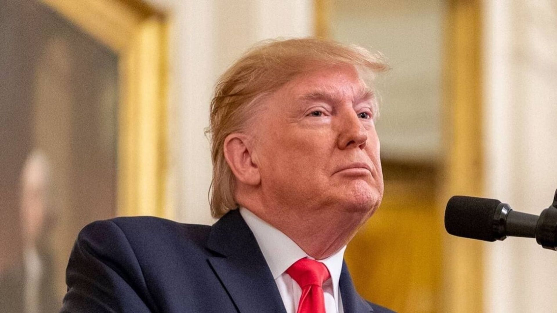 The Trump Show background