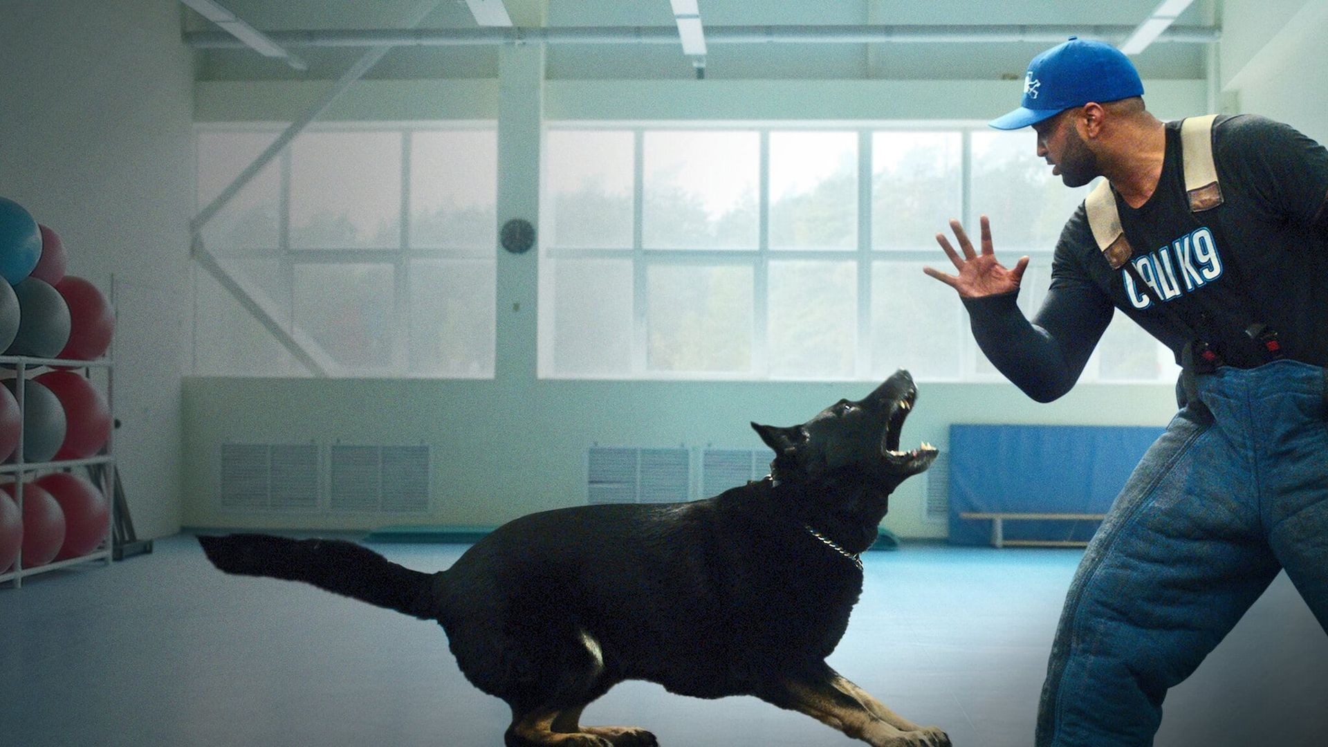 Canine Intervention background