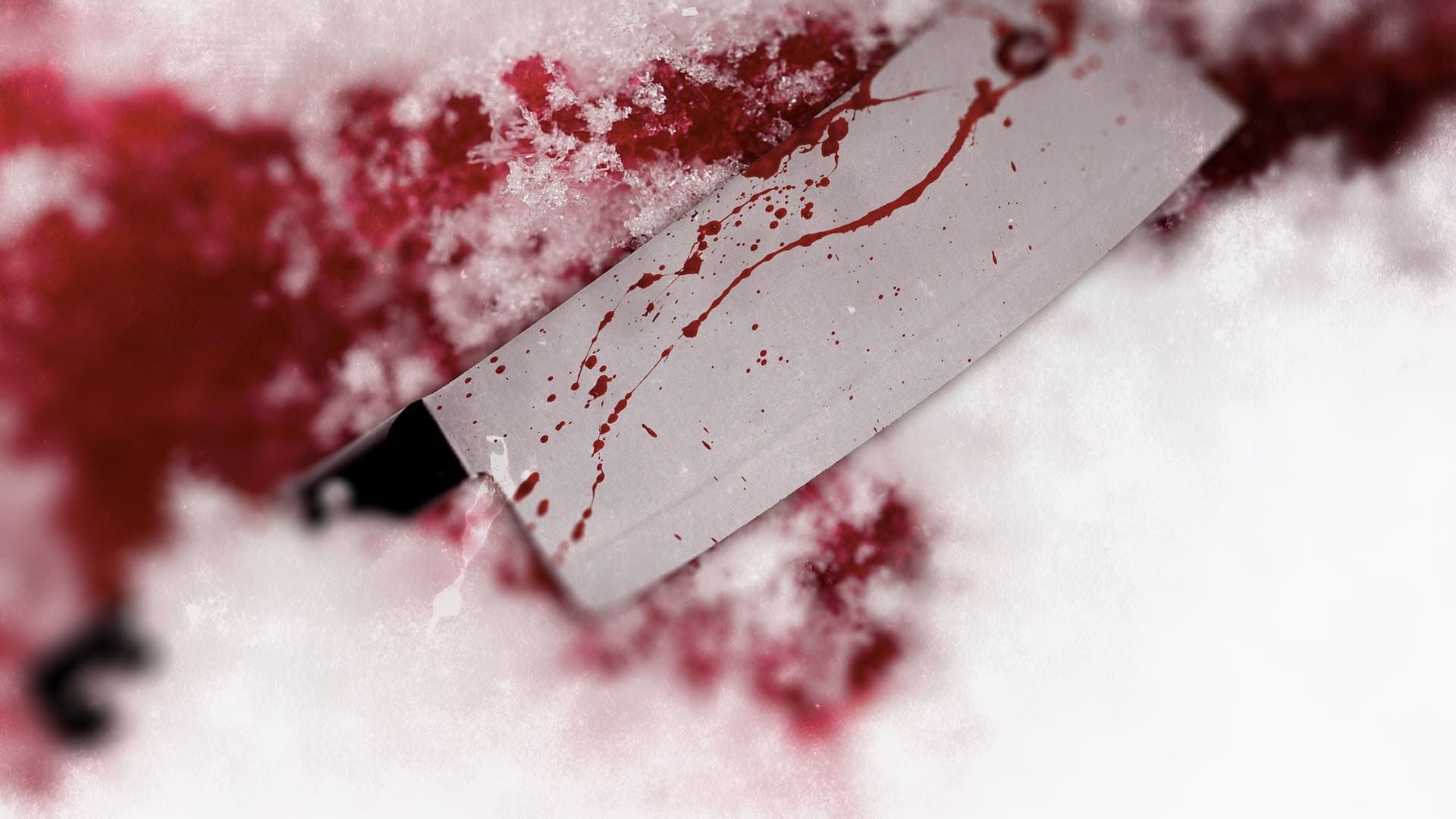 True Nordic Crimes background