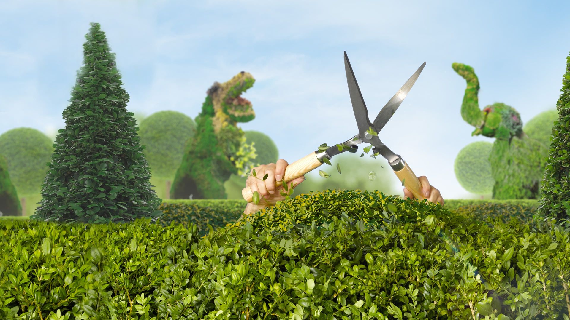 Clipped! background