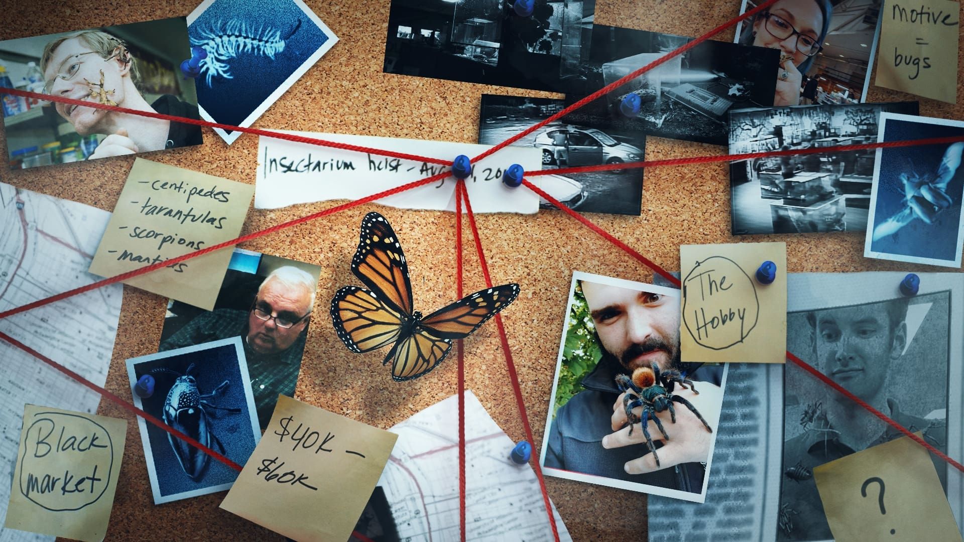 Bug Out background