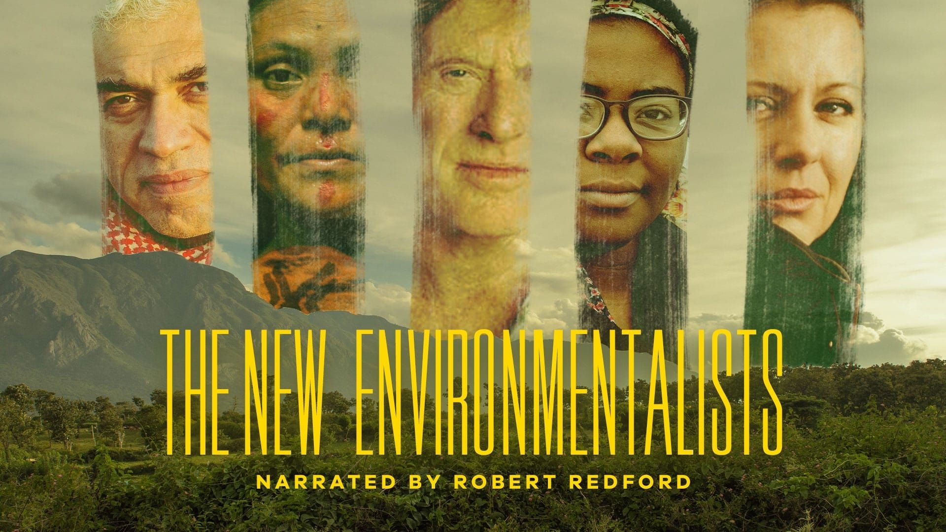 The New Environmentalists background