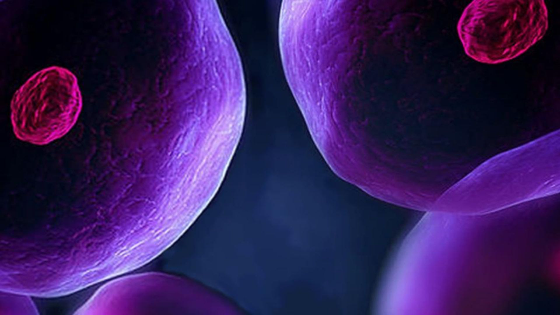 The Cell background