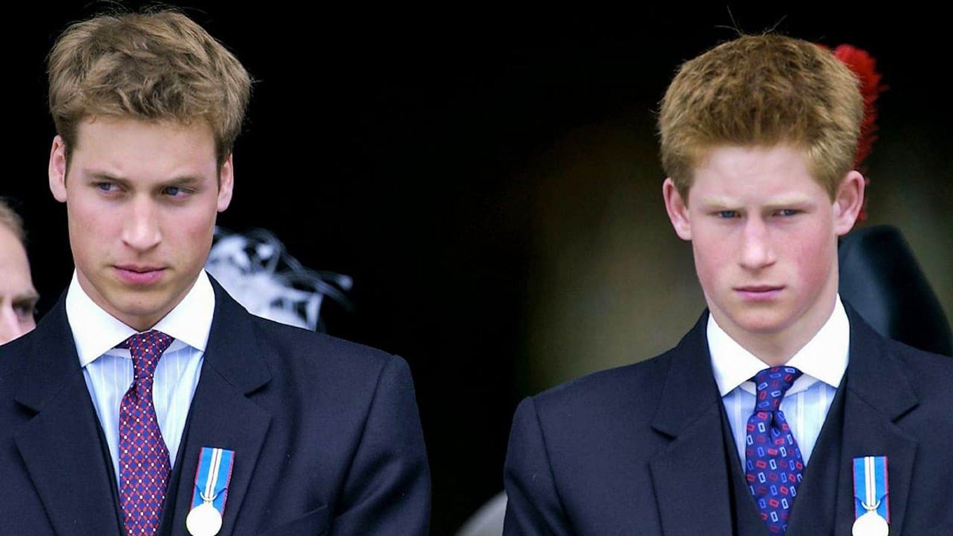 The Princes and the Press background