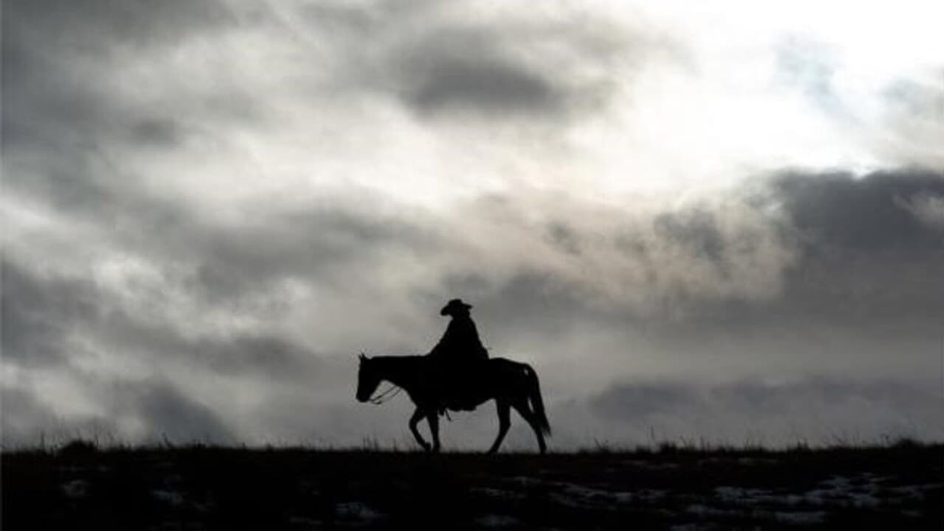 Bring on the Dancing Horses background