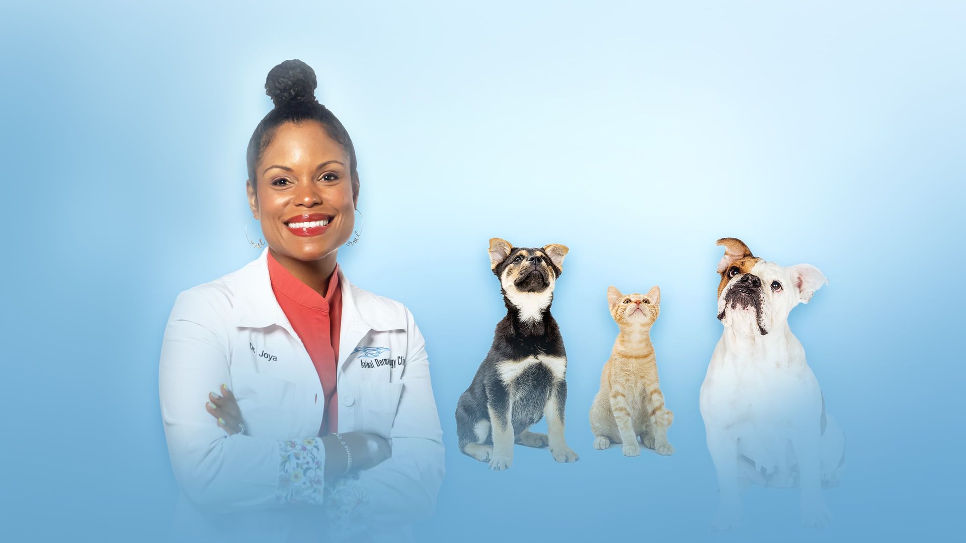 Pop Goes the Vet with Dr. Joya background