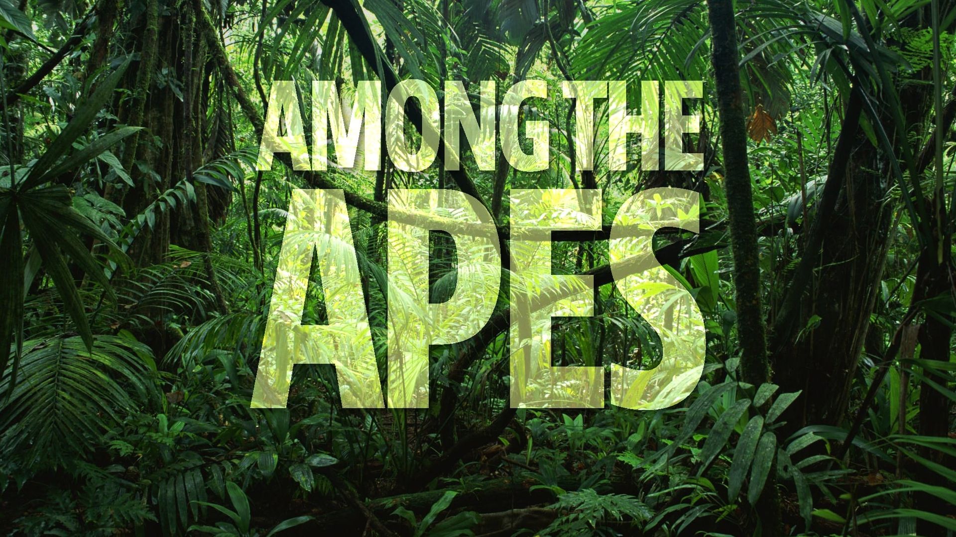 The Secret Life of Primates background