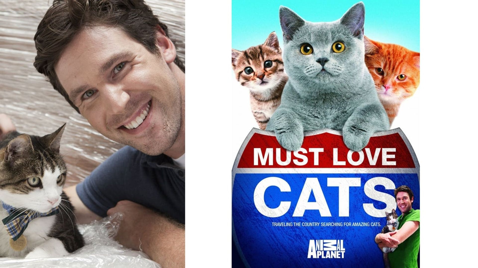 Must Love Cats background
