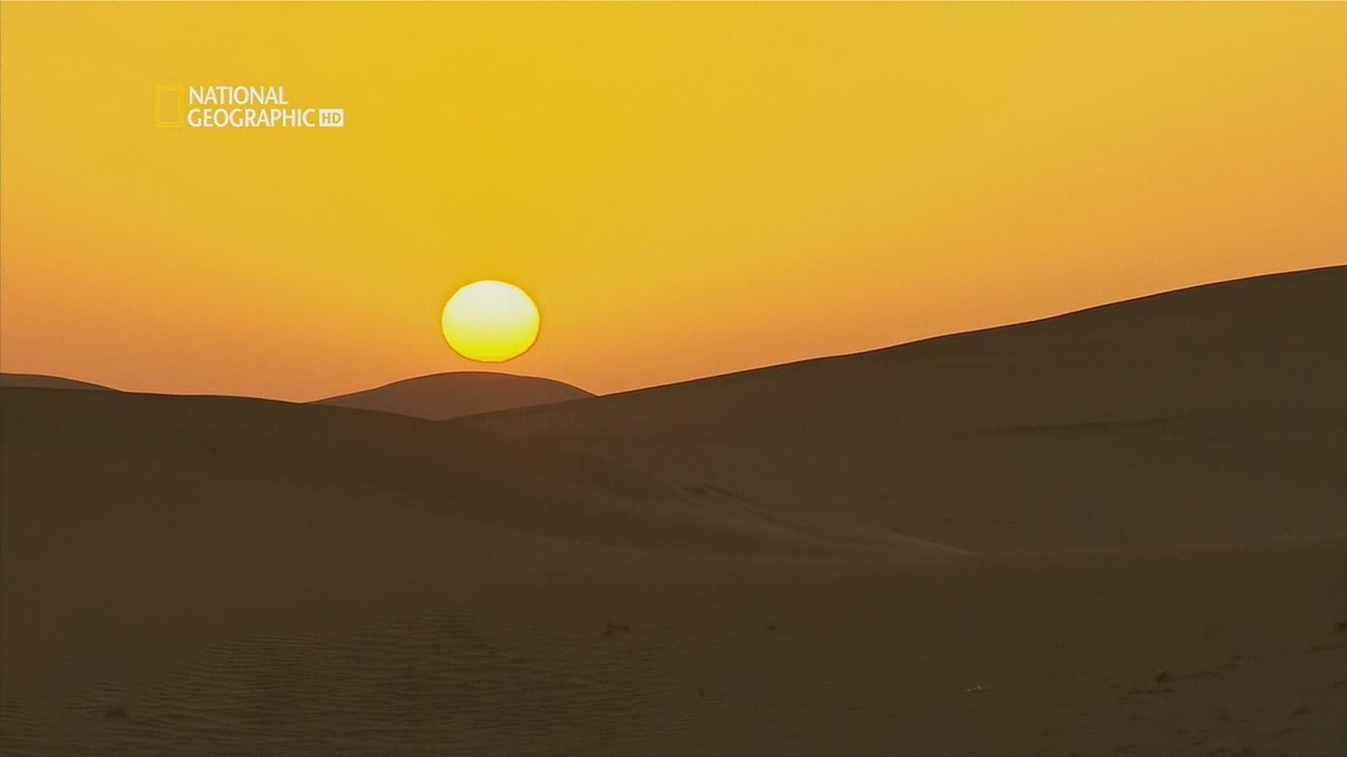 Lost in China background