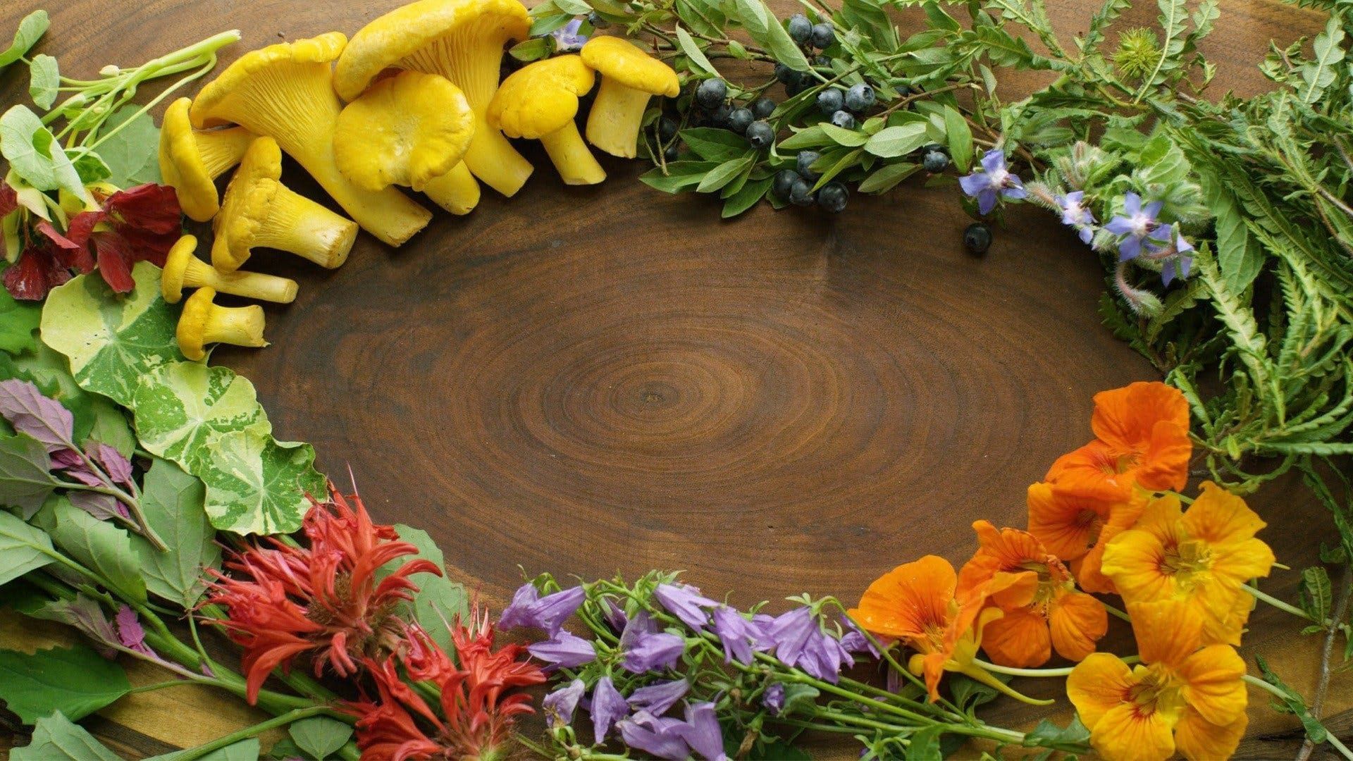 Field, Forest, Feast background