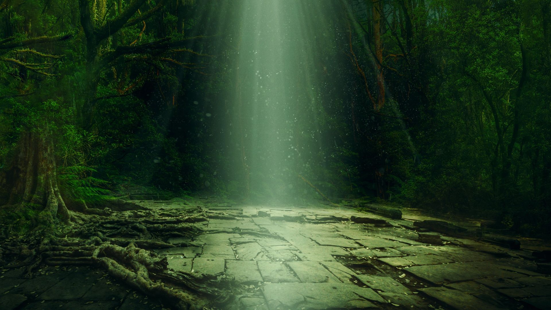 Lost Cities of the Amazon background