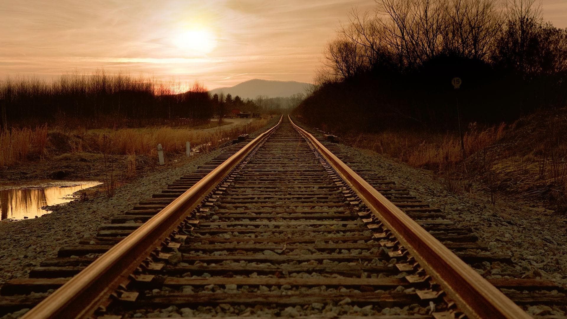 My Music with Rhiannon Giddens background