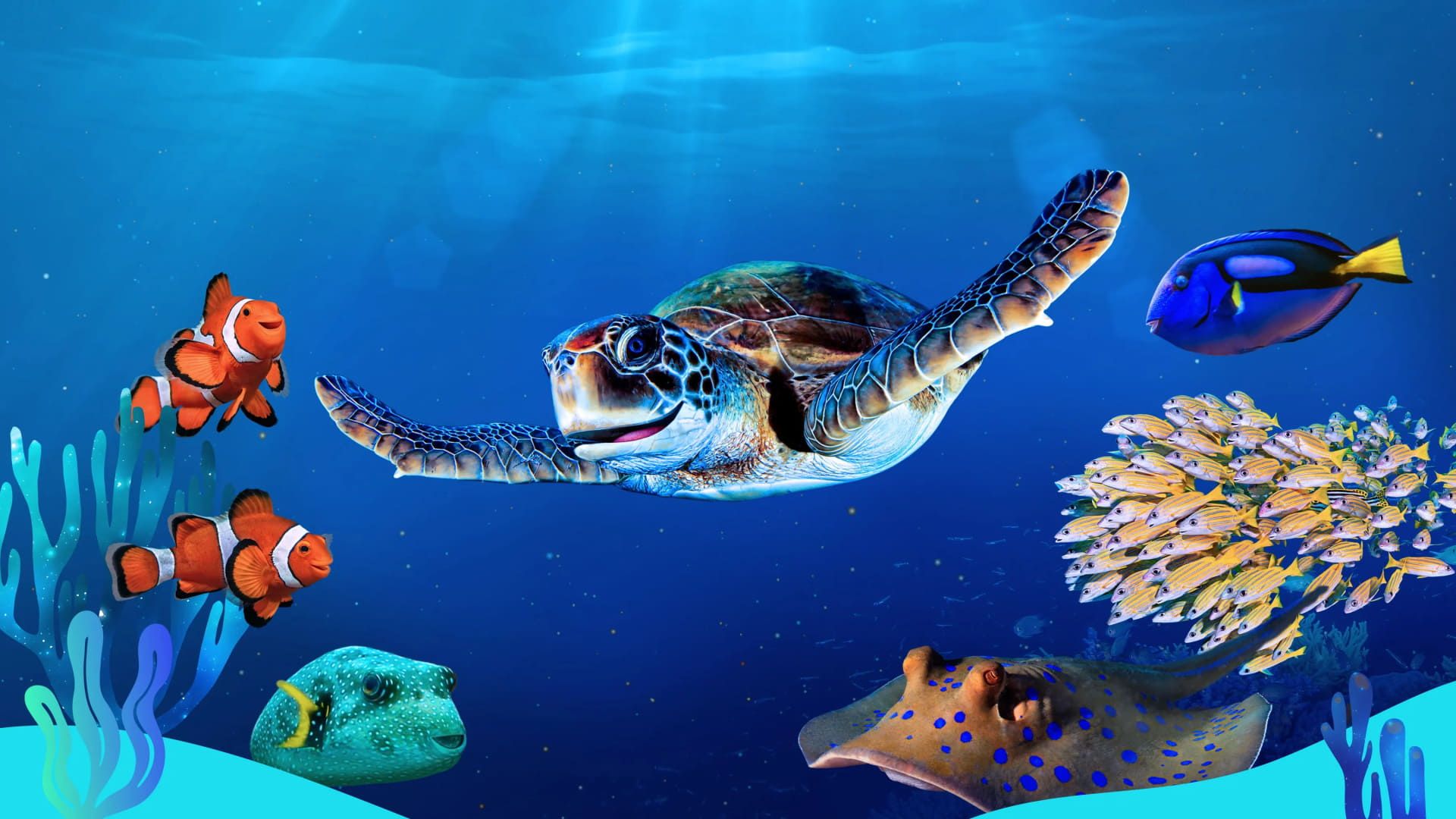 Reef School background