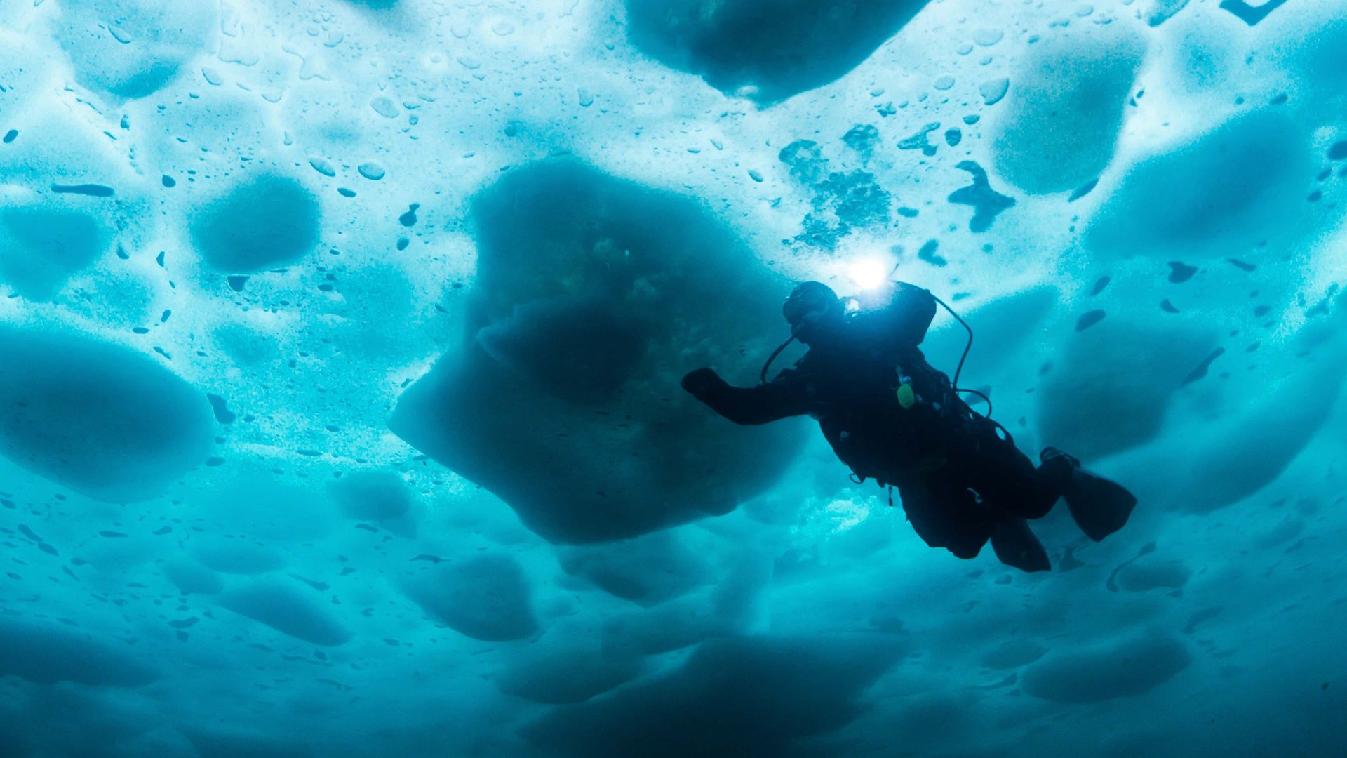 Bering Sea Gold: Under the Ice background