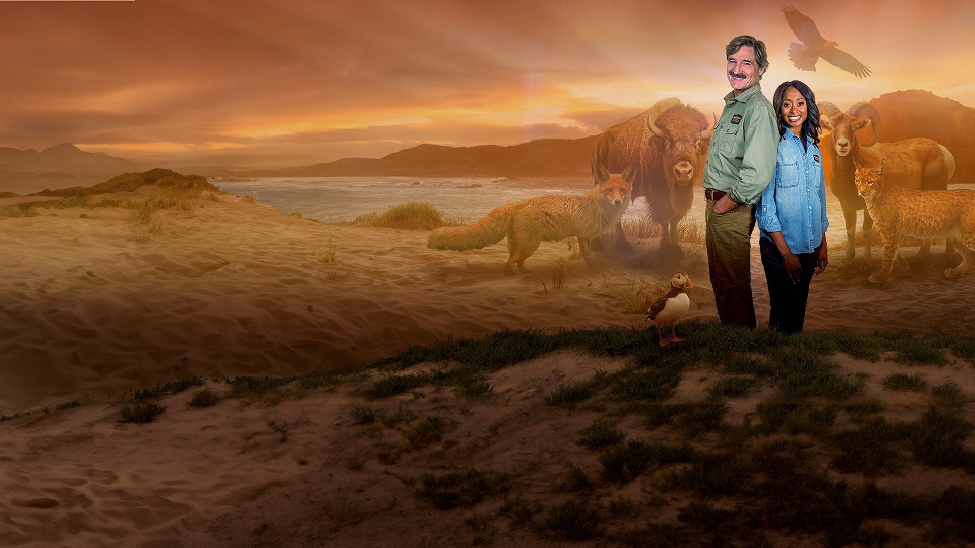 Mutual of Omaha's Wild Kingdom Protecting the Wild background