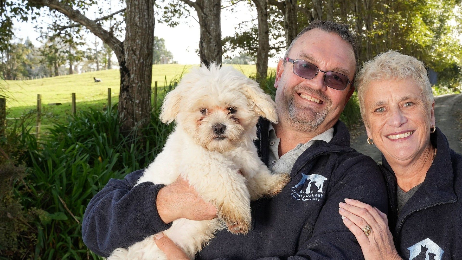 The Dog House New Zealand background