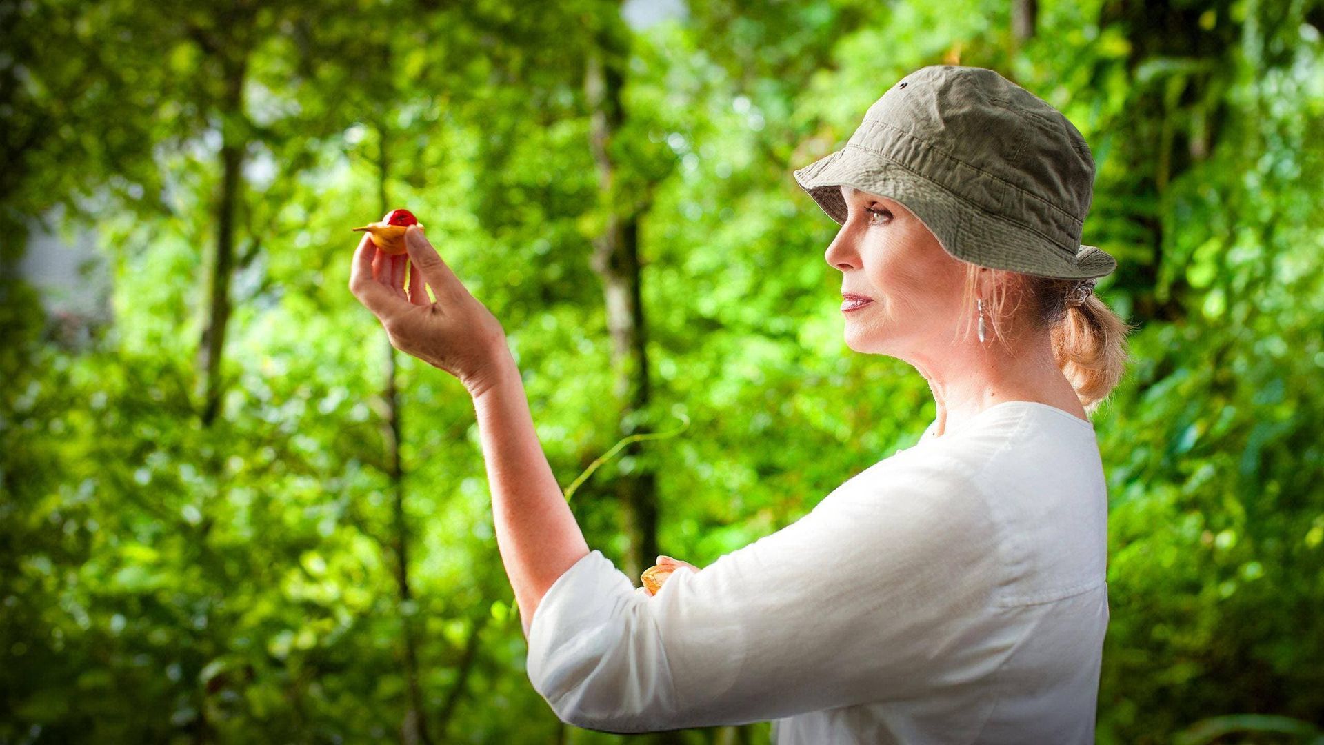 Joanna Lumley's Spice Trail Adventure background