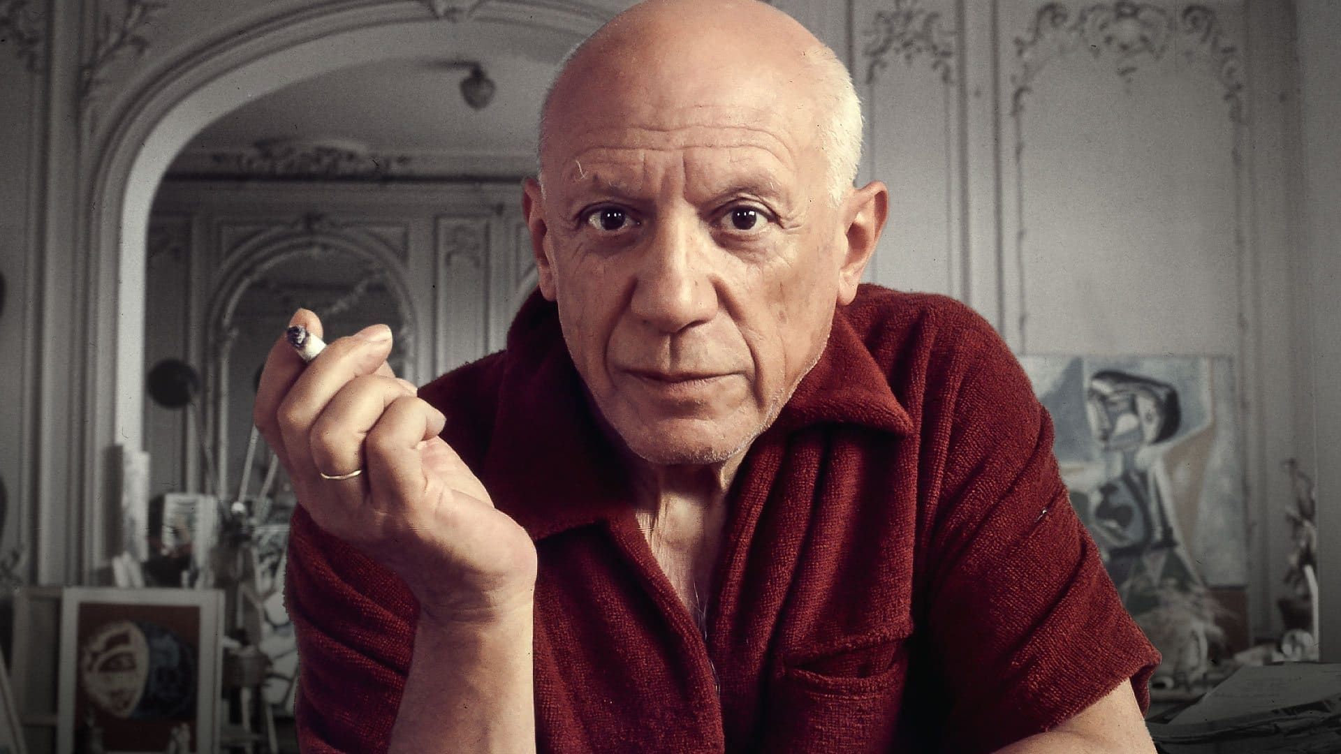Picasso: The Beauty and the Beast background