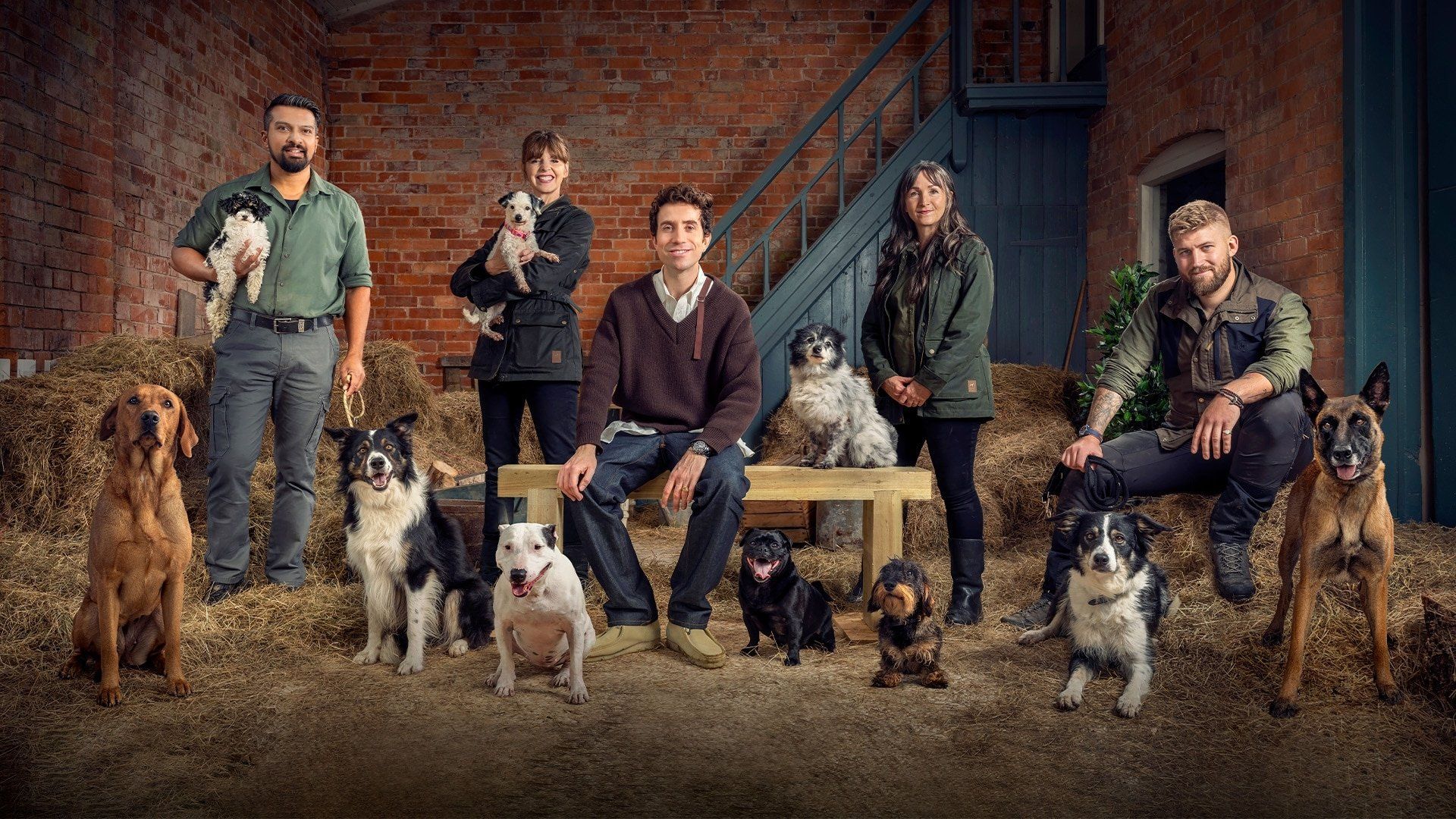The Dog Academy background