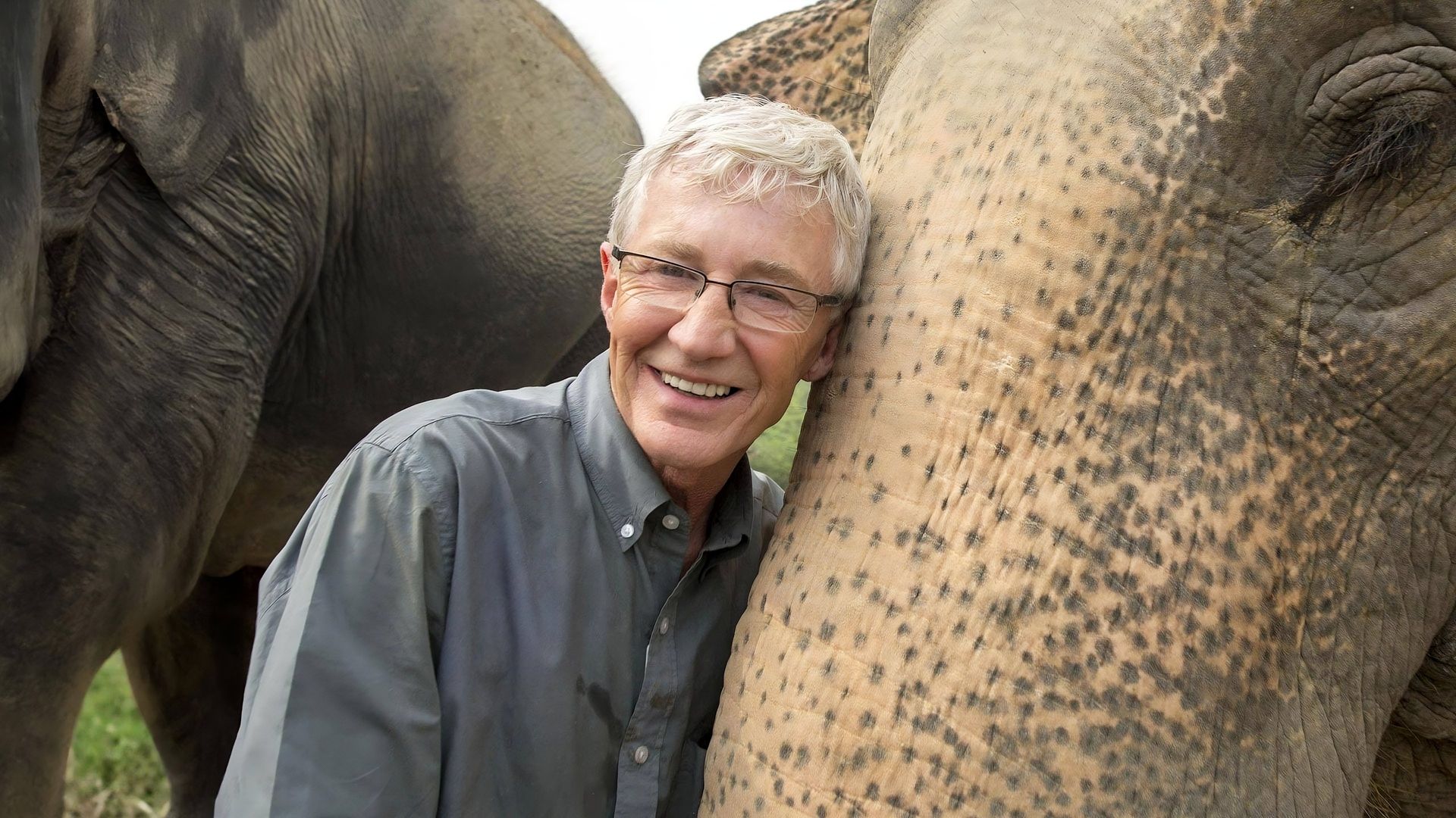 Paul O'Grady's Great Elephant Adventure background