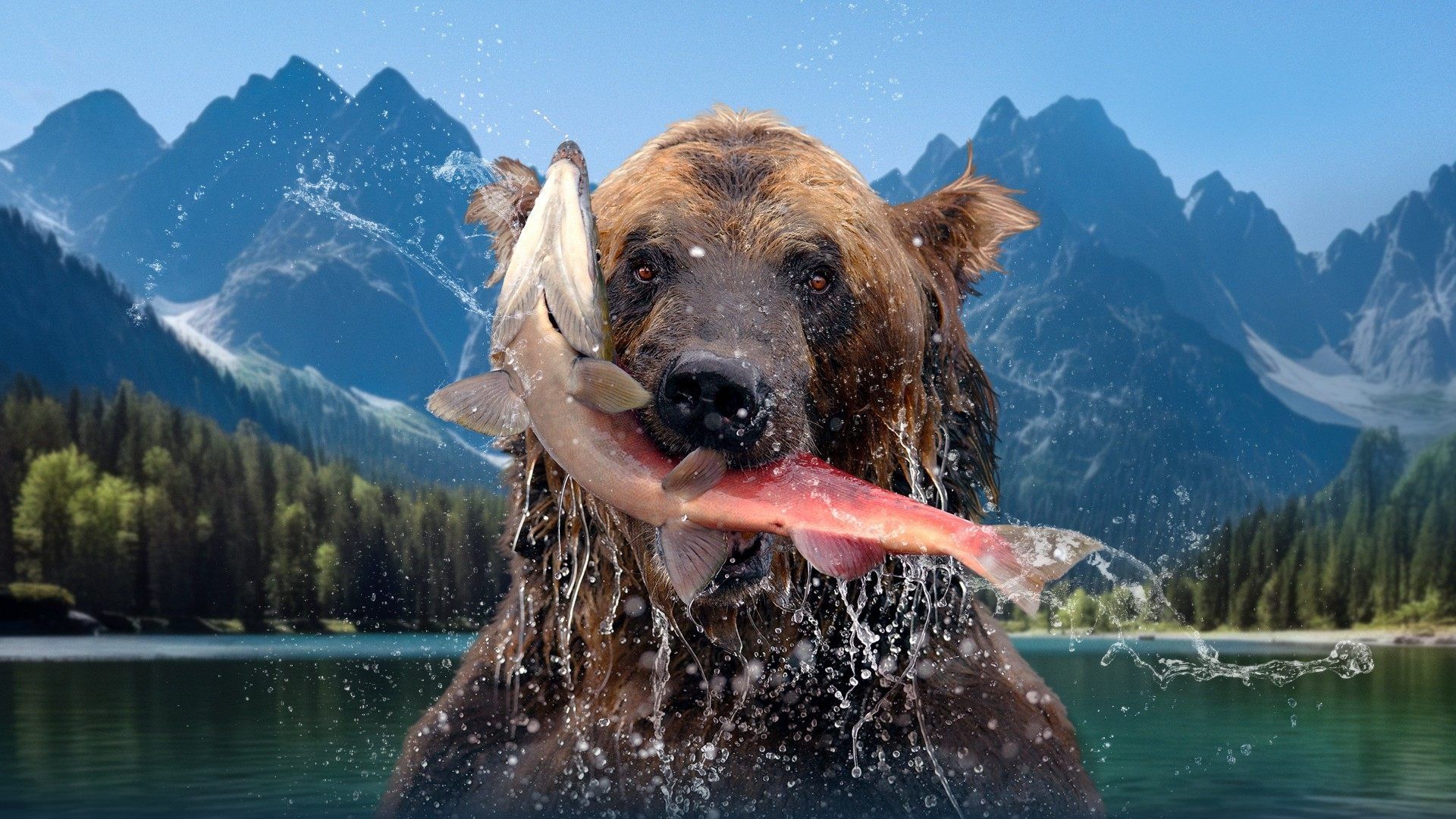 The Hungry Games: Alaska Big Bear Challenge background