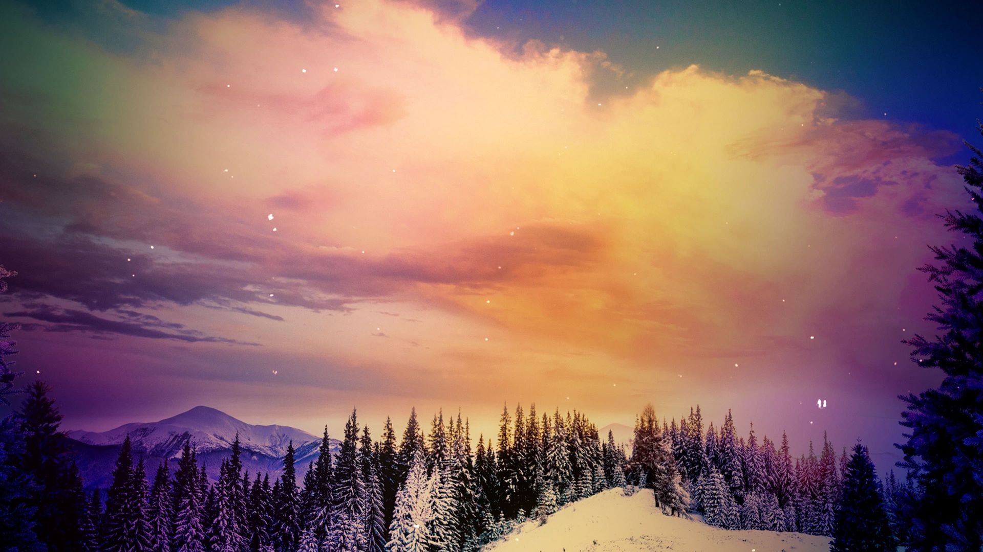 The Great Christmas Light Fight background
