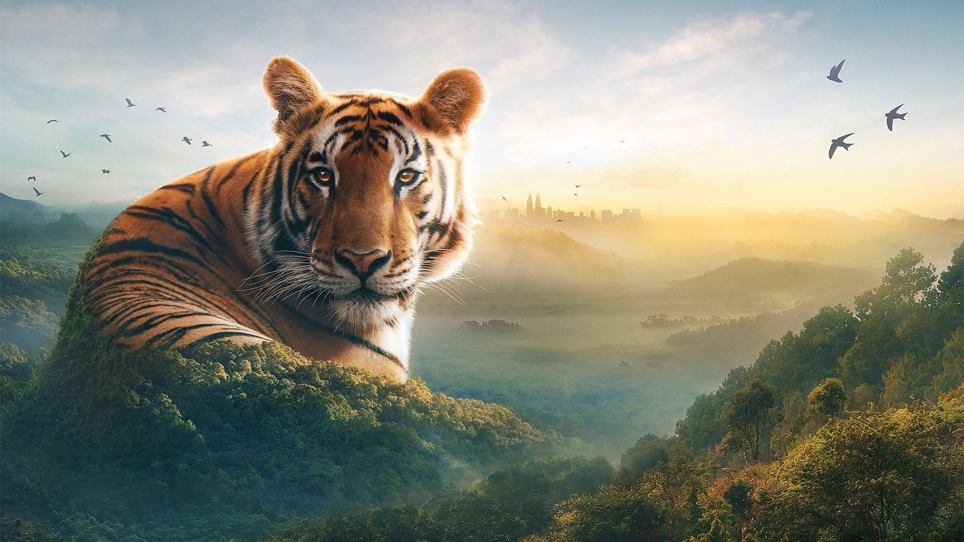 Asia background