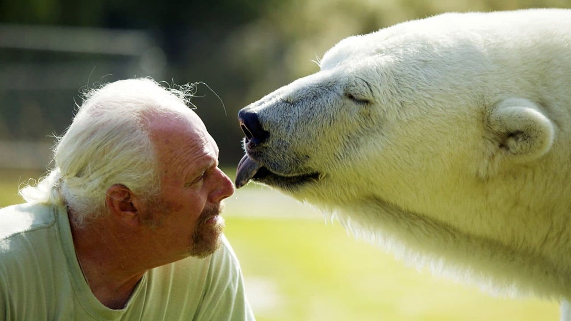 Animal Odd Couples background