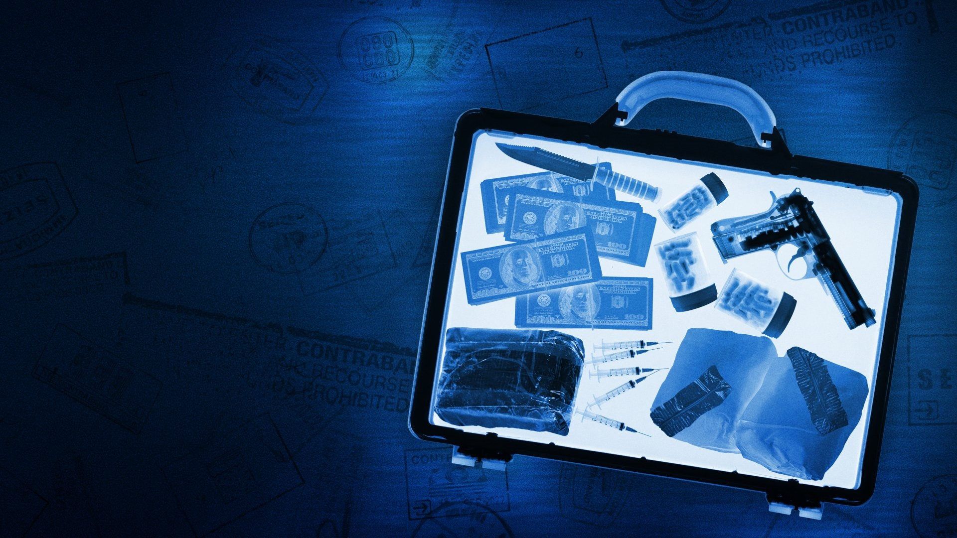 Contraband: Seized at the Airport background