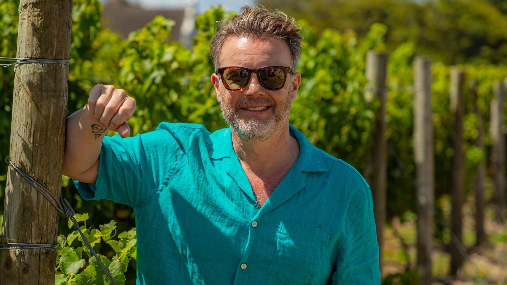 Gary Barlow's Wine Tour: South Africa background
