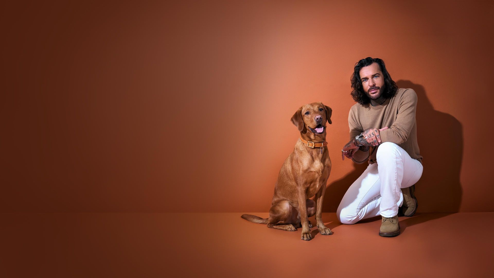 Pete Wicks: For Dogs' Sake background
