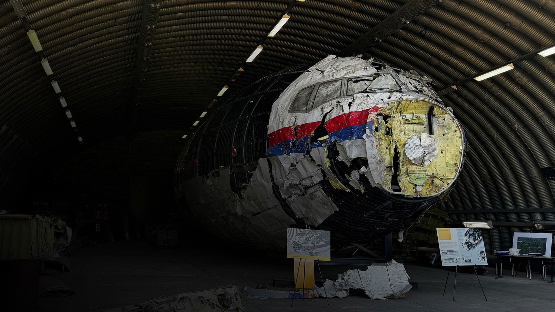 Murder in the Skies: Who Downed Mh17? background