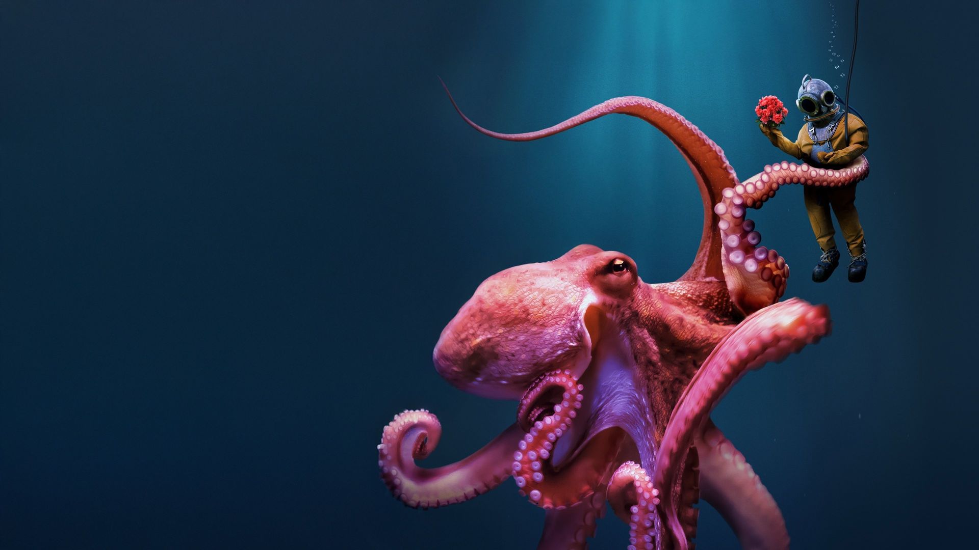 Octopus! background