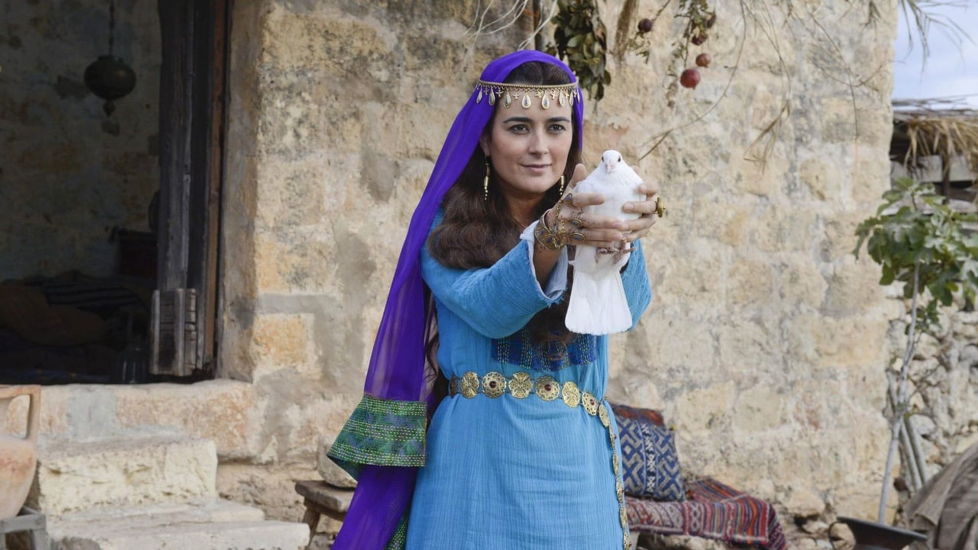 The Dovekeepers background