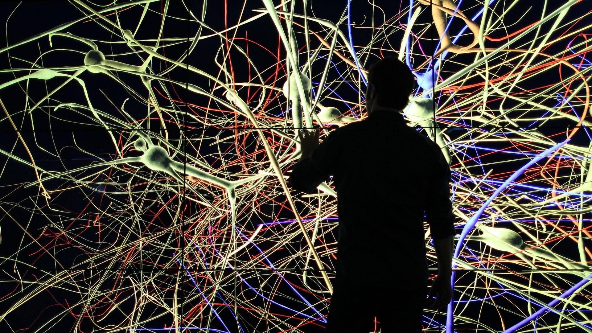 The Brain with Dr. David Eagleman background