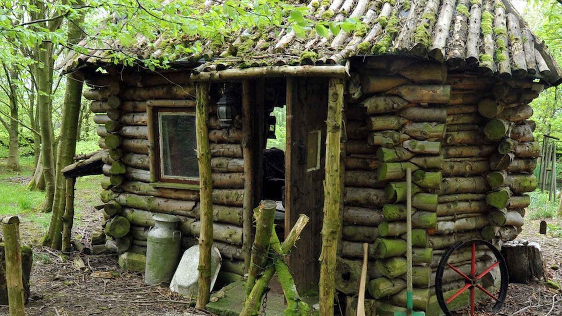 Amazing Spaces Shed of the Year background