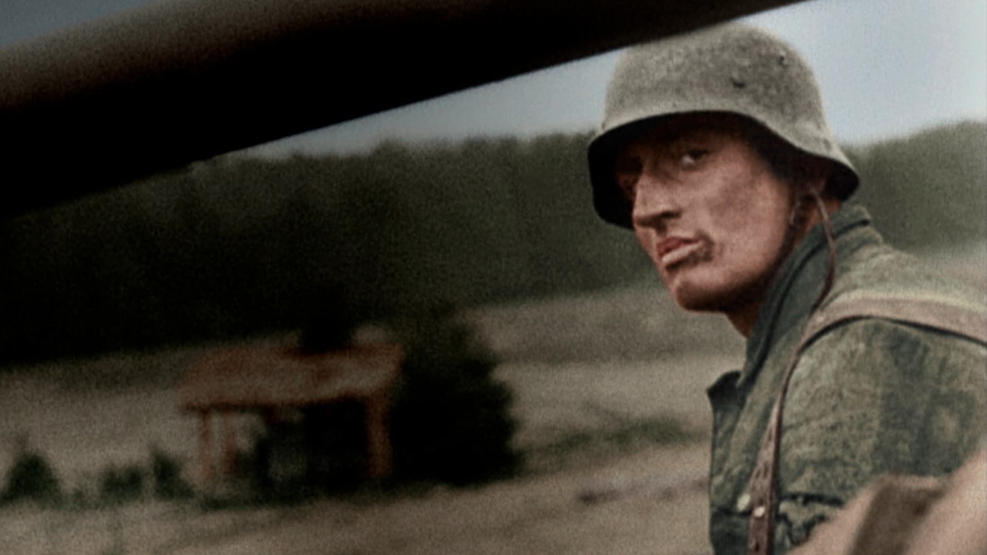 Hitler's Last Year background