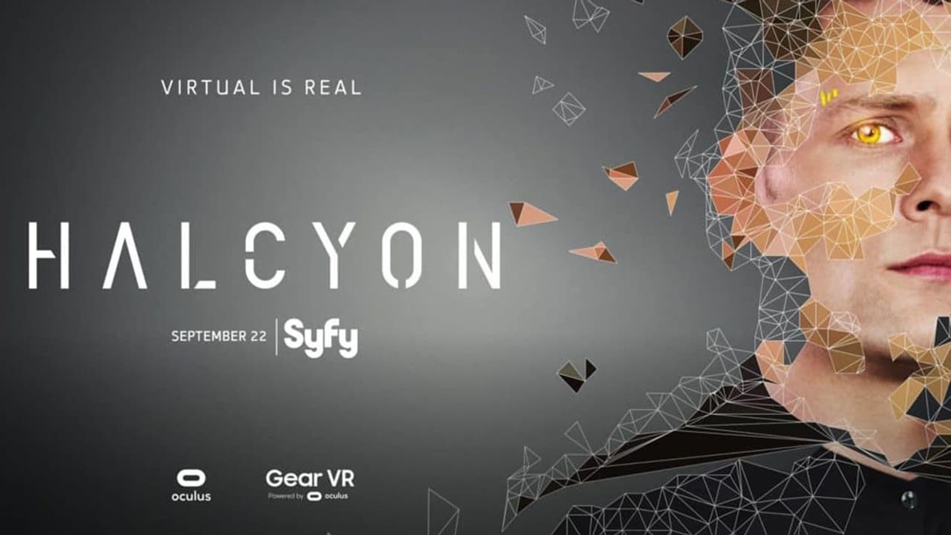 Halcyon background