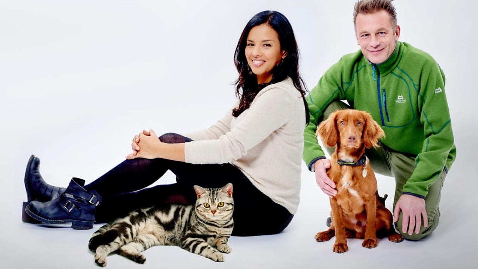 Cats v Dogs: Which Is Best? background
