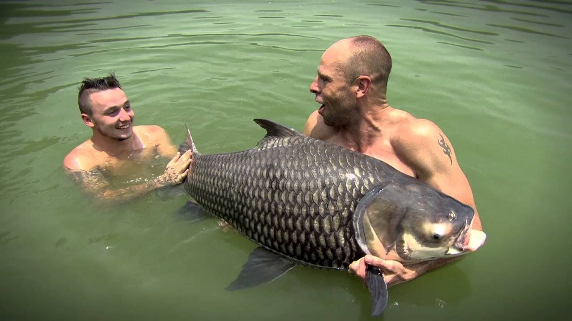 The Big Fish Off background