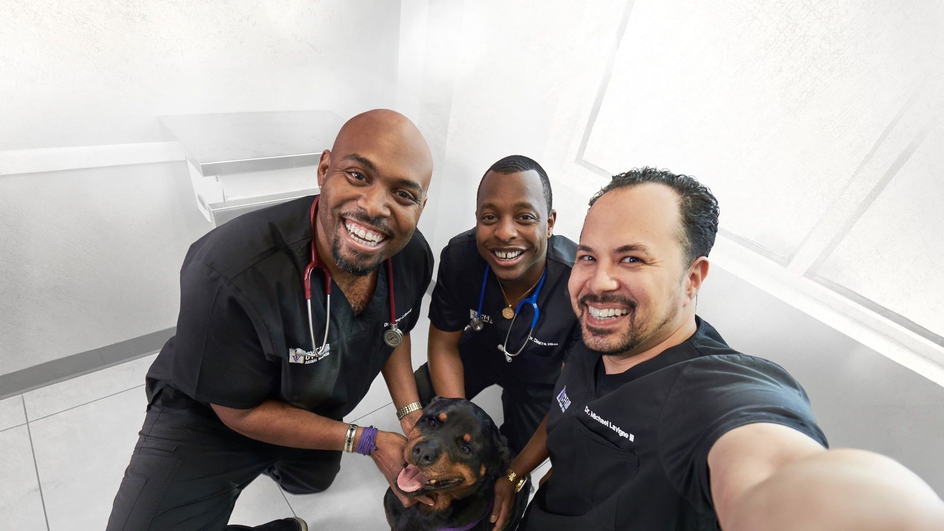 The Vet Life background
